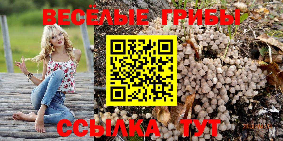 Псилоцибиновые грибы Psilocybine cubensis Егорьевск