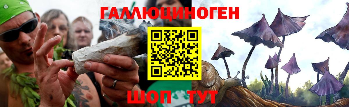 Егорьевск  Галлюциногенные грибы мухоморы  Вход с VPN 